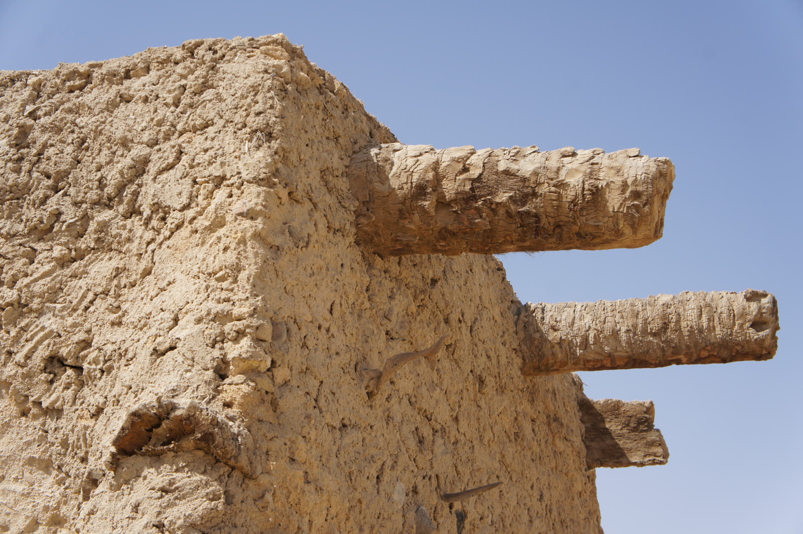 Date palm beams exposed within kersheef construction at Siwa