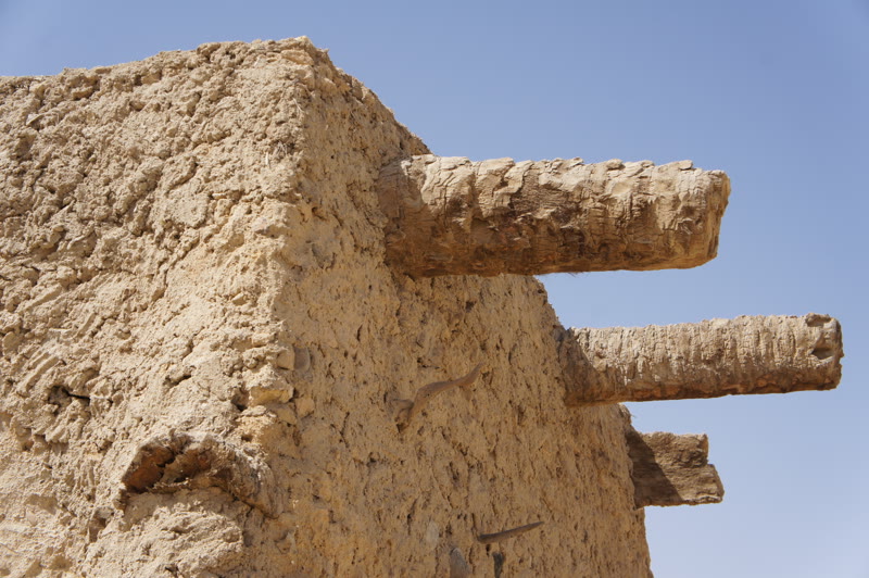 Date palm beams supporting kersheef construction in Siwa